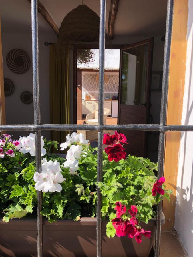 Casa La Alegria 37 Panzió Villanueva de Tapia Kültér fotó