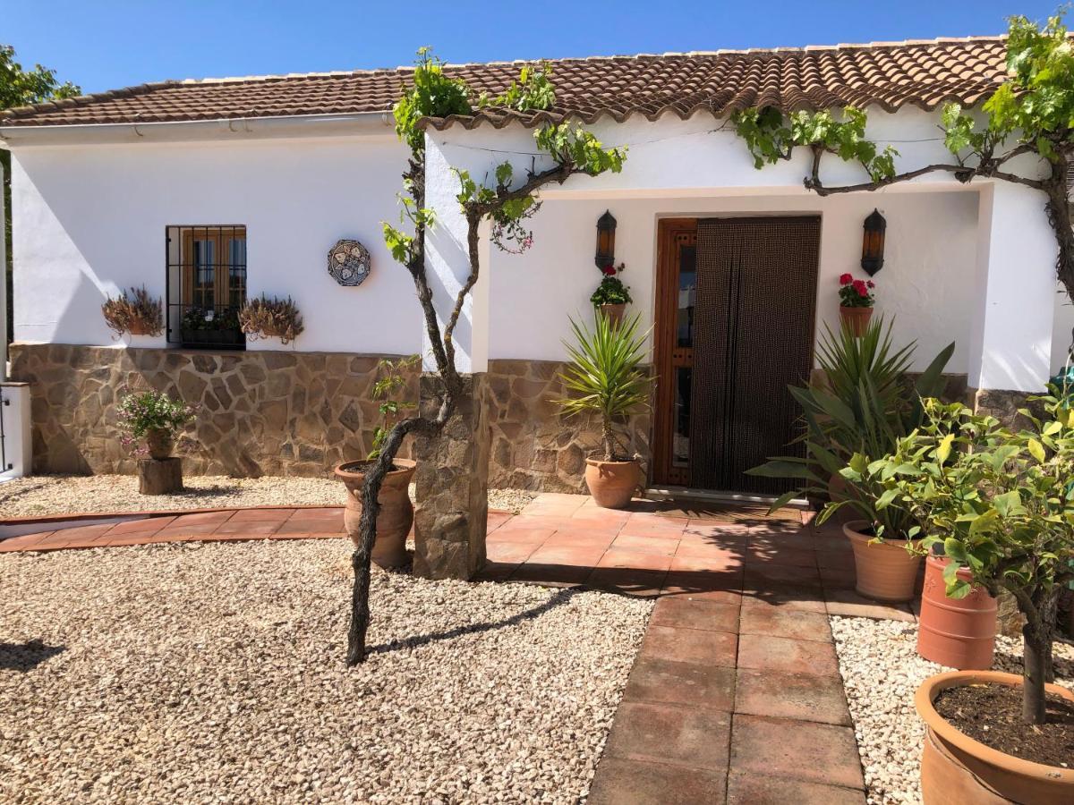 Casa La Alegria 37 Panzió Villanueva de Tapia Kültér fotó