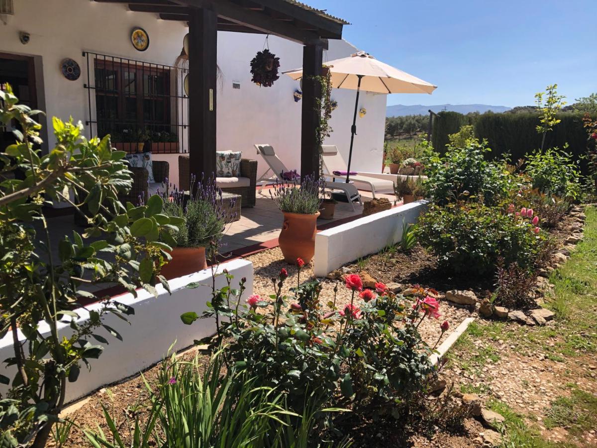 Casa La Alegria 37 Panzió Villanueva de Tapia Kültér fotó